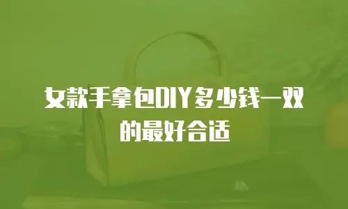 女款手拿包DIY多少钱一双的最好合适