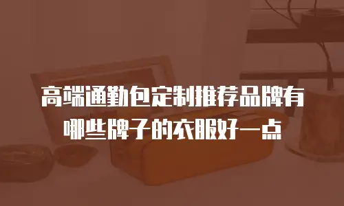 高端通勤包定制推荐品牌有哪些牌子的衣服好一点