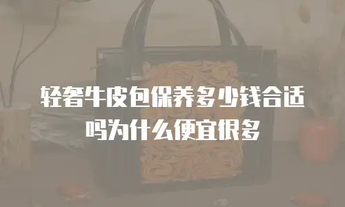 轻奢牛皮包保养多少钱合适吗为什么便宜很多