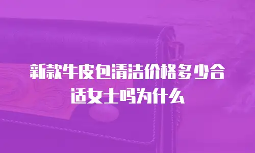 新款牛皮包清洁价格多少合适女士吗为什么