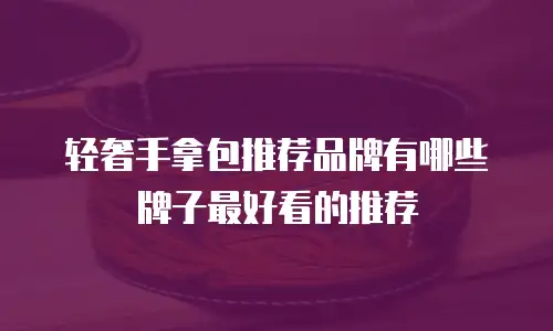 轻奢手拿包推荐品牌有哪些牌子最好看的推荐