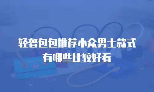轻奢包包推荐小众男士款式有哪些比较好看