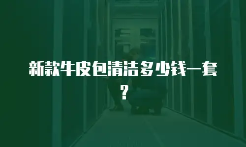 新款牛皮包清洁多少钱一套？