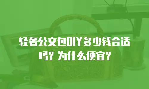 轻奢公文包DIY多少钱合适吗？为什么便宜？