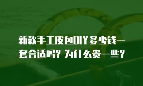新款手工皮包DIY多少钱一套合适吗？为什么贵一些？