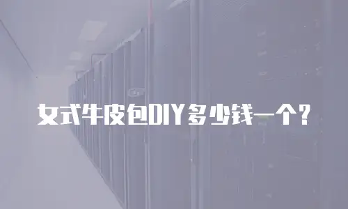 女式牛皮包DIY多少钱一个？