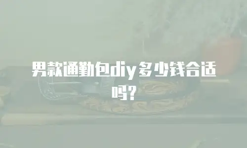 男款通勤包diy多少钱合适吗？