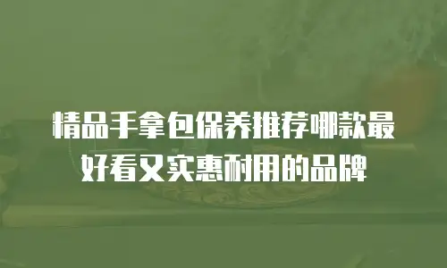 精品手拿包保养推荐哪款最好看又实惠耐用的品牌
