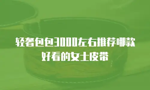 轻奢包包3000左右推荐哪款好看的女士皮带