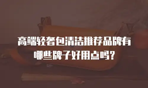 高端轻奢包清洁推荐品牌有哪些牌子好用点吗？