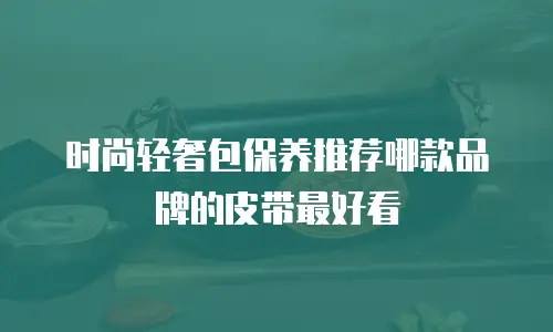 时尚轻奢包保养推荐哪款品牌的皮带最好看
