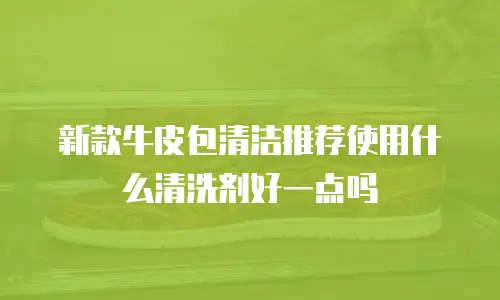 新款牛皮包清洁推荐使用什么清洗剂好一点吗