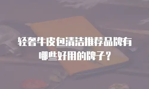 轻奢牛皮包清洁推荐品牌有哪些好用的牌子？