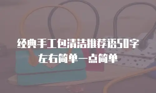 经典手工包清洁推荐语50字左右简单一点简单