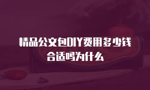 精品公文包DIY费用多少钱合适吗为什么