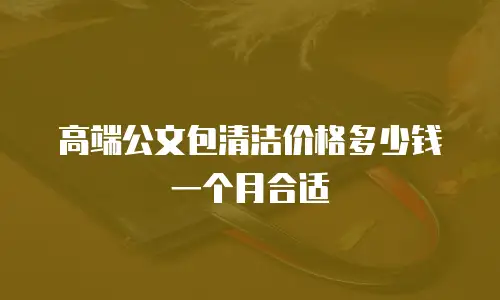 高端公文包清洁价格多少钱一个月合适