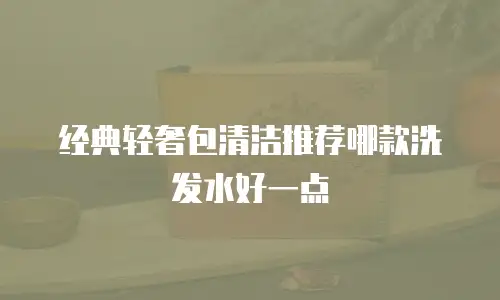 经典轻奢包清洁推荐哪款洗发水好一点