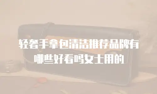 轻奢手拿包清洁推荐品牌有哪些好看吗女士用的