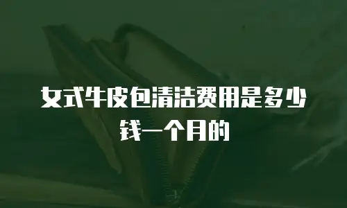 女式牛皮包清洁费用是多少钱一个月的
