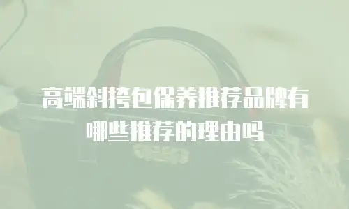 高端斜挎包保养推荐品牌有哪些推荐的理由吗