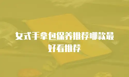 女式手拿包保养推荐哪款最好看推荐