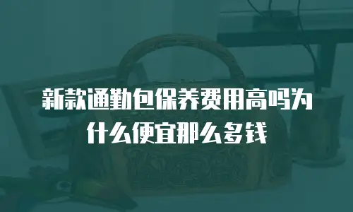 新款通勤包保养费用高吗为什么便宜那么多钱