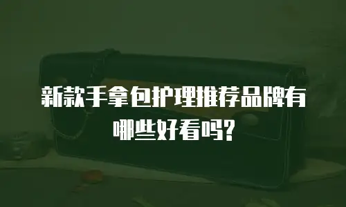 新款手拿包护理推荐品牌有哪些好看吗?