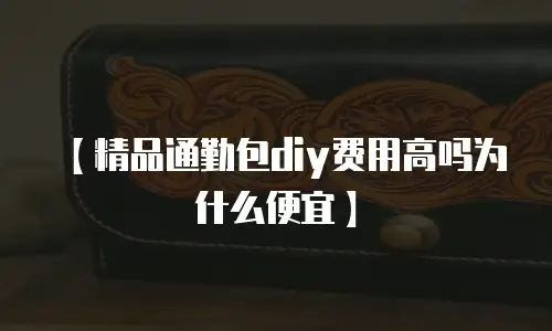 【精品通勤包diy费用高吗为什么便宜】