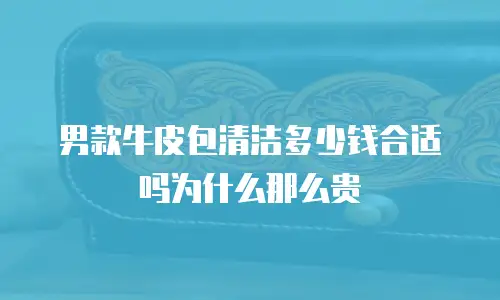 男款牛皮包清洁多少钱合适吗为什么那么贵