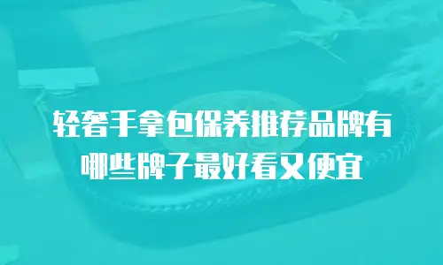 轻奢手拿包保养推荐品牌有哪些牌子最好看又便宜