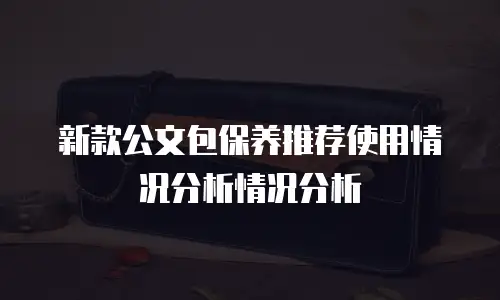 新款公文包保养推荐使用情况分析情况分析