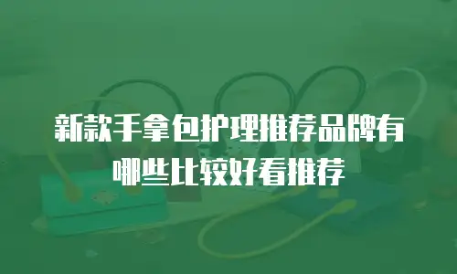 新款手拿包护理推荐品牌有哪些比较好看推荐