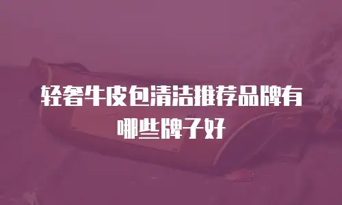 轻奢牛皮包清洁推荐品牌有哪些牌子好