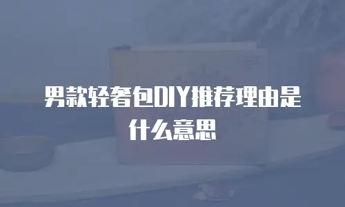男款轻奢包DIY推荐理由是什么意思