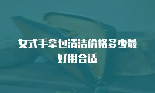 女式手拿包清洁价格多少最好用合适