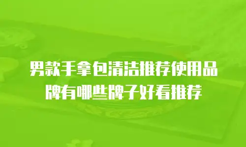 男款手拿包清洁推荐使用品牌有哪些牌子好看推荐