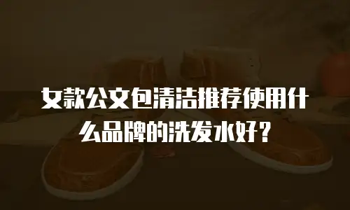 女款公文包清洁推荐使用什么品牌的洗发水好？