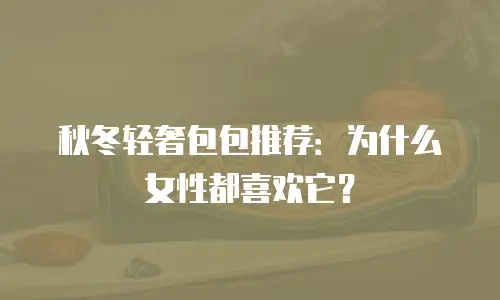 秋冬轻奢包包推荐：为什么女性都喜欢它？