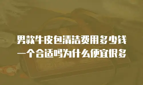 男款牛皮包清洁费用多少钱一个合适吗为什么便宜很多
