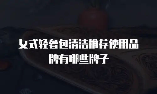 女式轻奢包清洁推荐使用品牌有哪些牌子