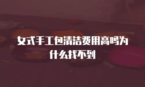 女式手工包清洁费用高吗为什么找不到