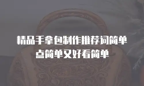 精品手拿包制作推荐词简单点简单又好看简单
