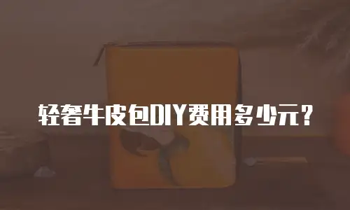轻奢牛皮包DIY费用多少元？