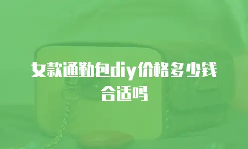 女款通勤包diy价格多少钱合适吗