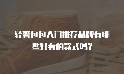 轻奢包包入门推荐品牌有哪些好看的款式吗？