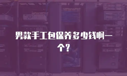 男款手工包保养多少钱啊一个？