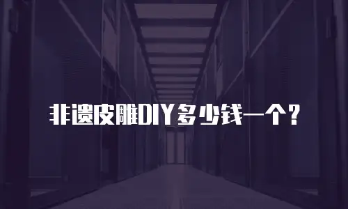 非遗皮雕DIY多少钱一个？