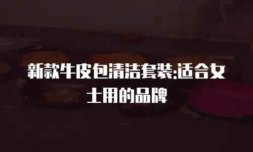 新款牛皮包清洁套装:适合女士用的品牌