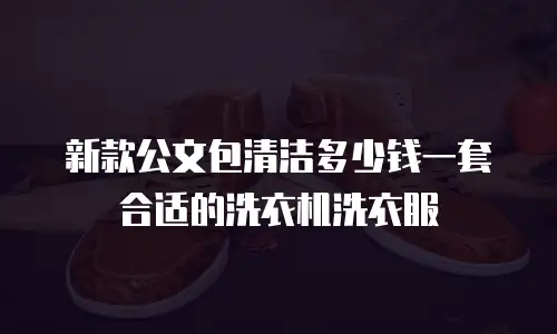 新款公文包清洁多少钱一套合适的洗衣机洗衣服