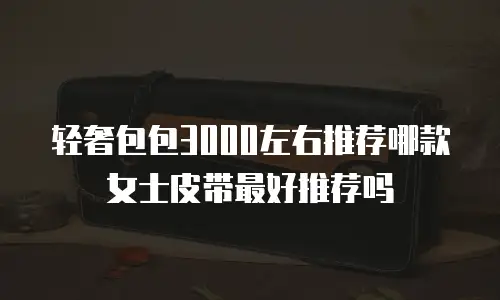 轻奢包包3000左右推荐哪款女士皮带最好推荐吗